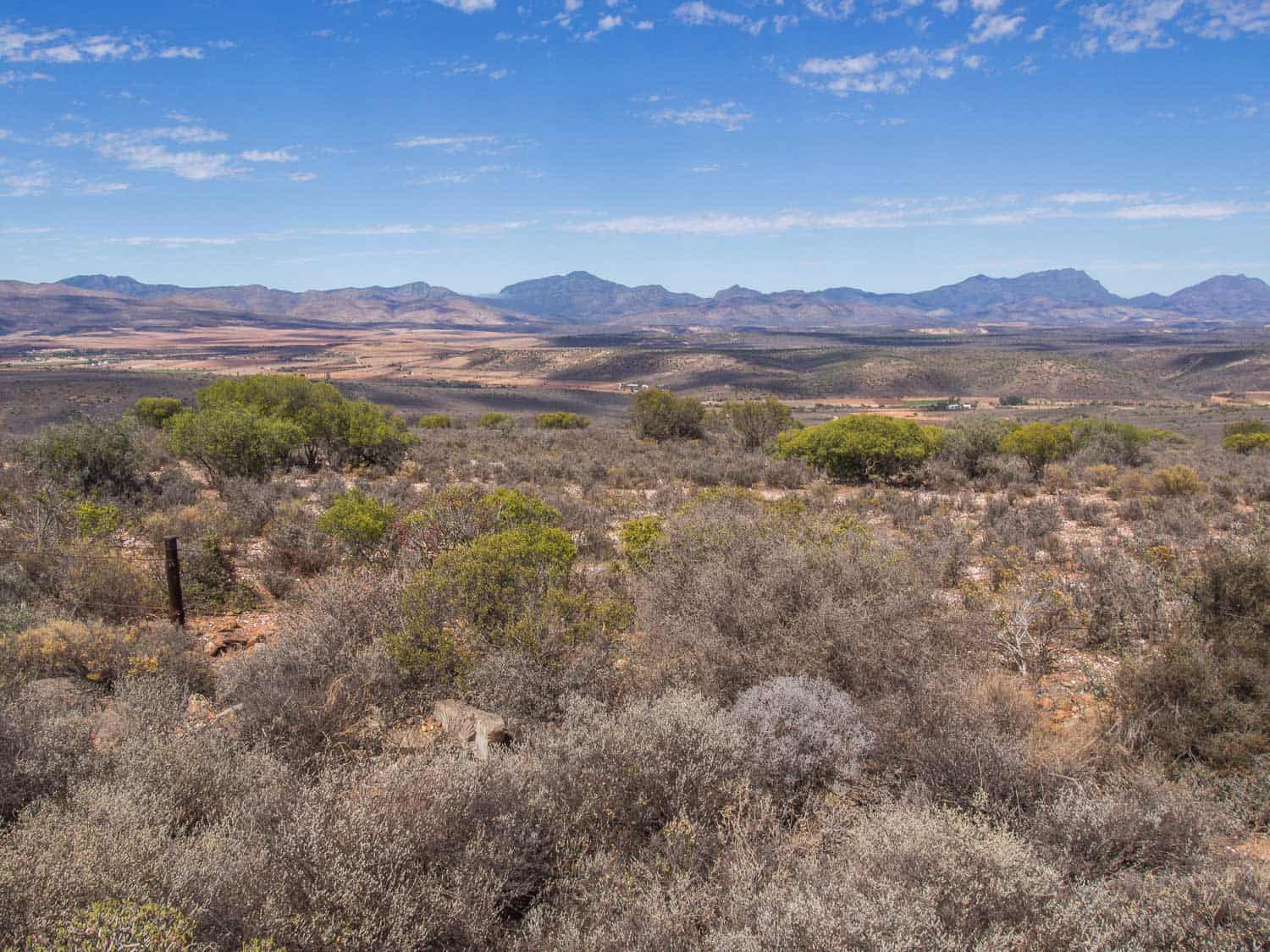 Oudtshoorn semi-desert landscape in South Africa's Klein Karoo