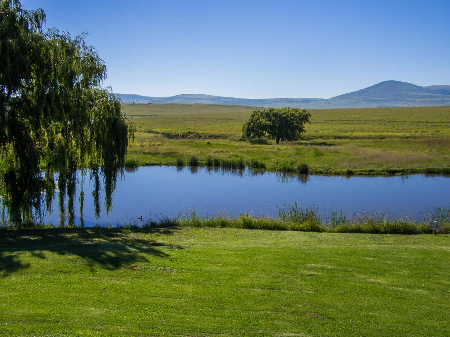 Forellenhof Farm in Wakkerstroom on our South Africa road trip