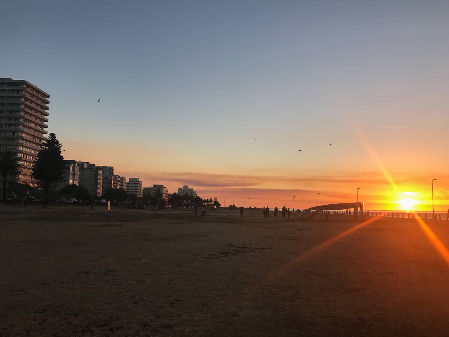 The Sea Point Promenade at sunset - a classic Cape Town experience
