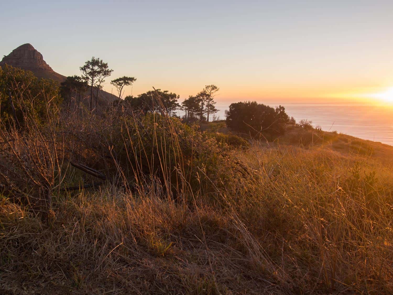 Sunset on Signal Hill - having a picnic here is a classic Cape Town activity