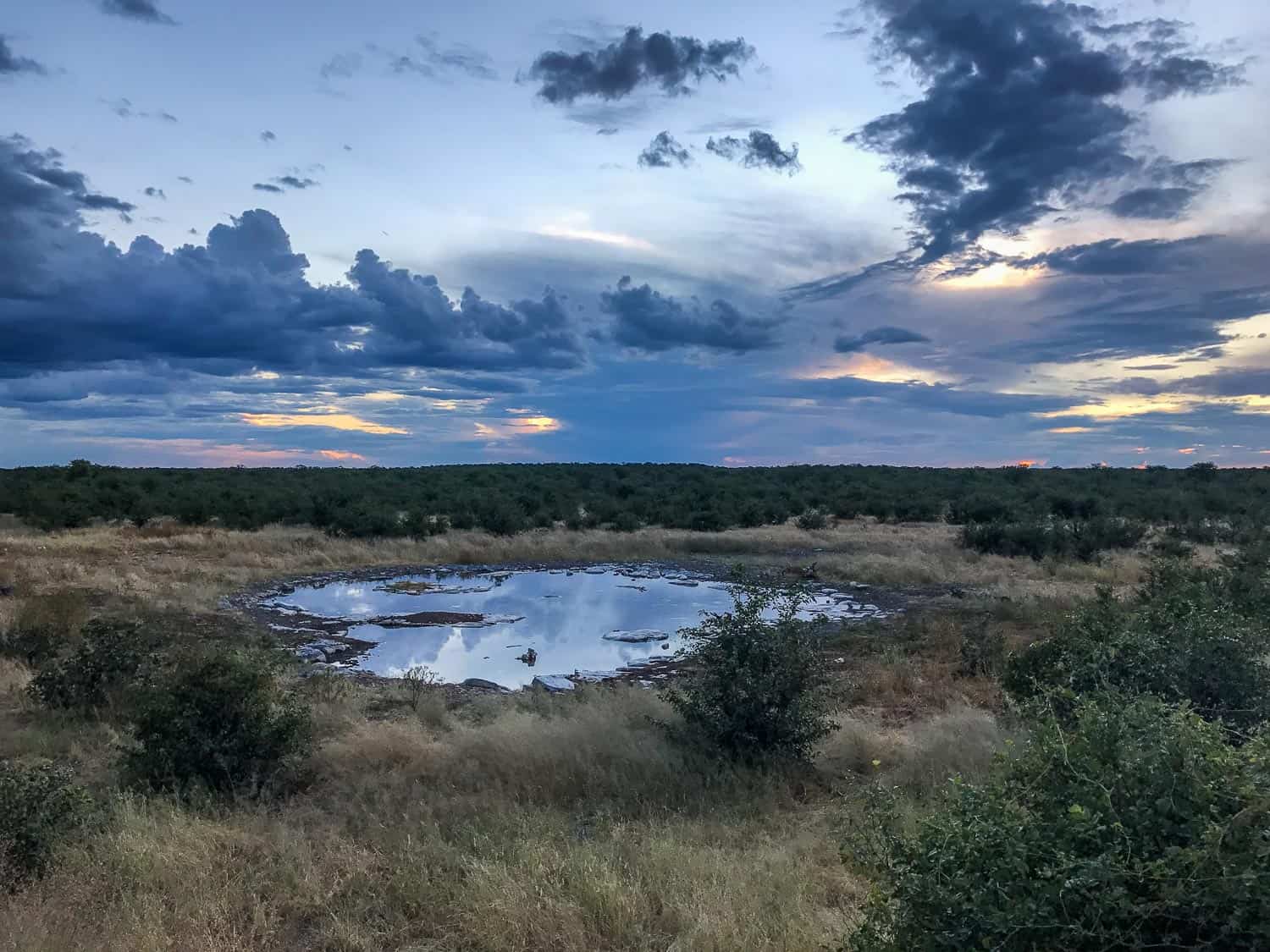 Halali waterhole in Etosha