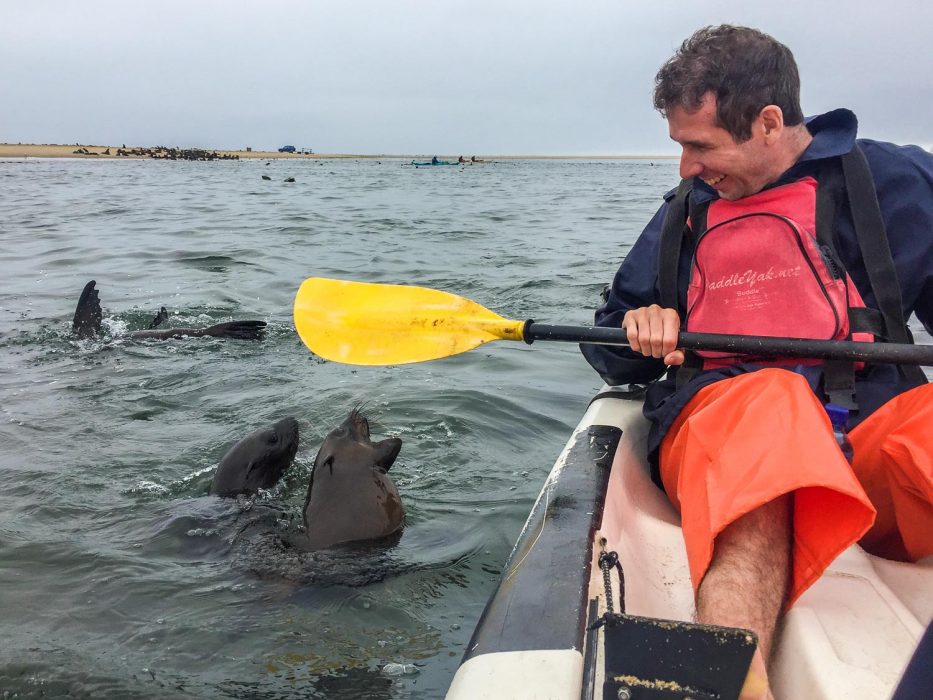 Kayaking with seals in Walvis Bay- a Namibia travel highlight