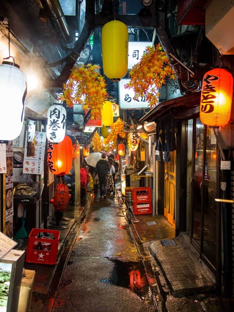 Memory Lane decorated for autumn in Tokyo