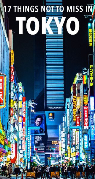 Wondering what to do in this incredible Japanese city? Here are 17 cool things to do in Tokyo!