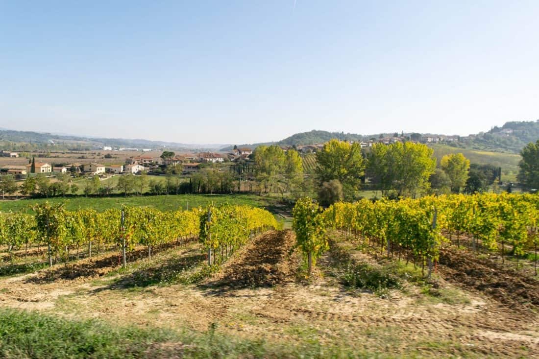 A Tuscany vineyard tour from Rome