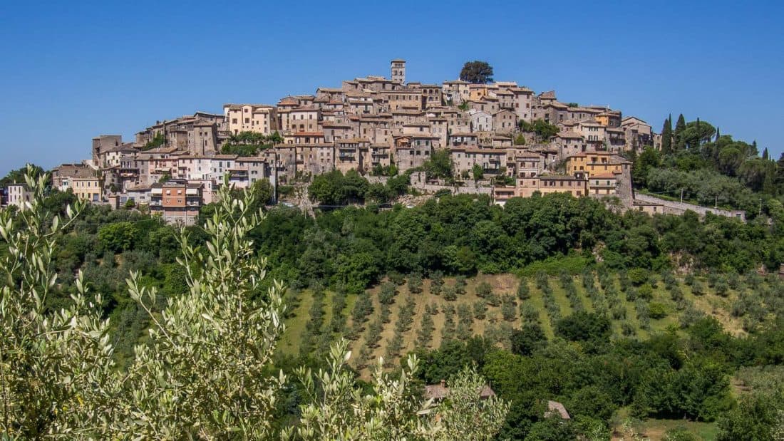 An olive oil tour in Lazio is one of the best day trips from Rome