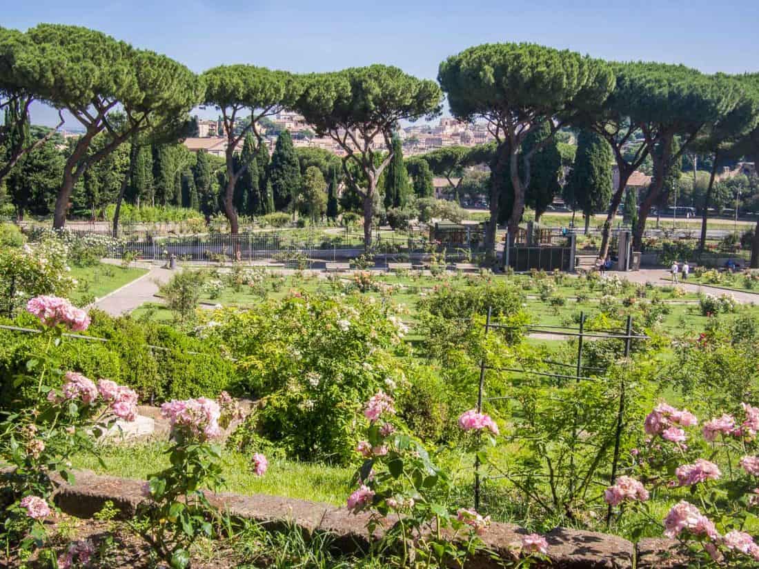 Rome's rose garden, Italy