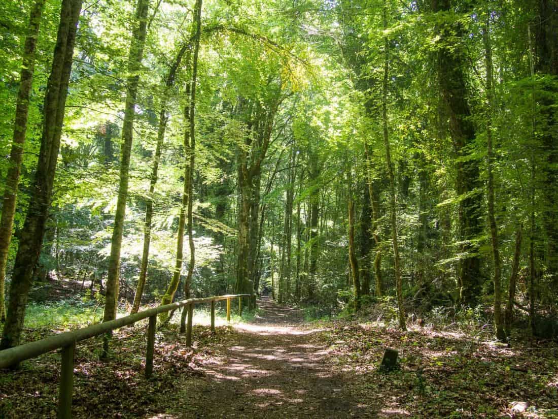 Foresta Umbra hiking trail in the Gargano Peninsula of Puglia, Italy