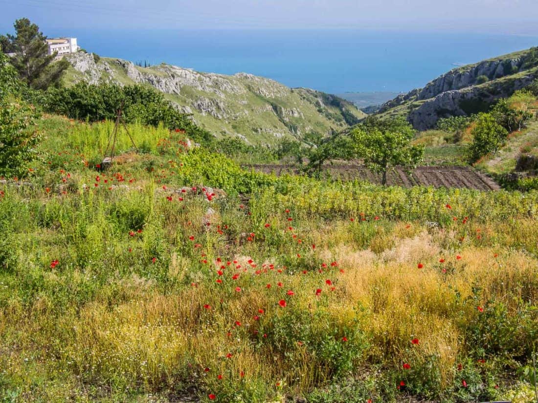 The view from the mountain town of Monte Sant'Angelo in the Gargano, Italy