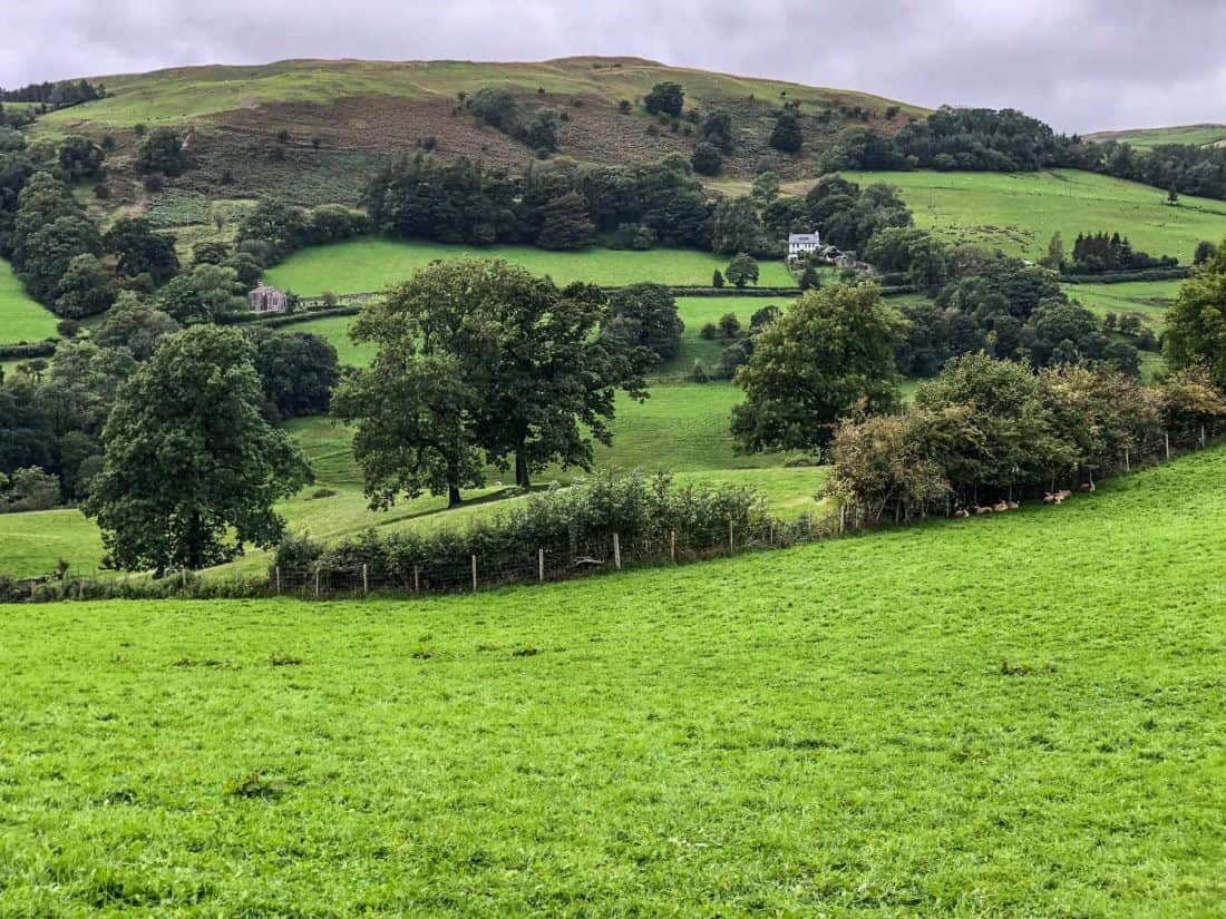 Day 5 of the Dales Way walk, on the way to Burneside, England