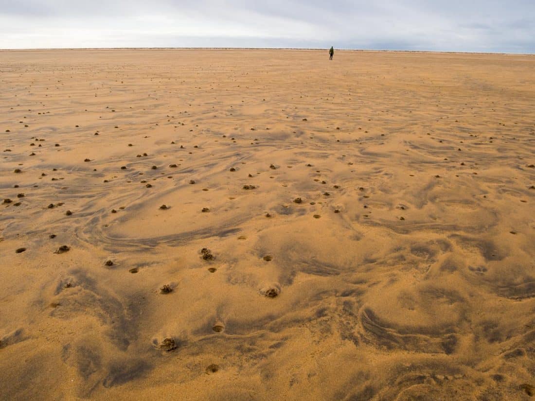 Marbled sands at Rauðasandur Beach, Westfjords, Iceland