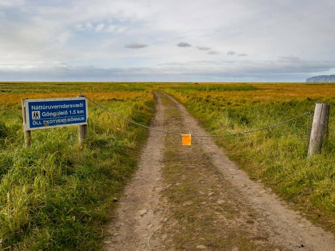 Trail to beach at Rauðasandur Beach, Westfjords, Iceland