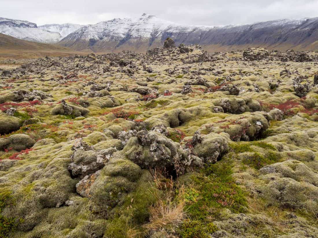 Berserkjahraun lava fields with snowy mountains on Snaefellsness Peninsula, Iceland