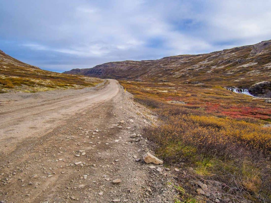 Autumnal colours on a mountain pass in the Westfjords, Iceland in September