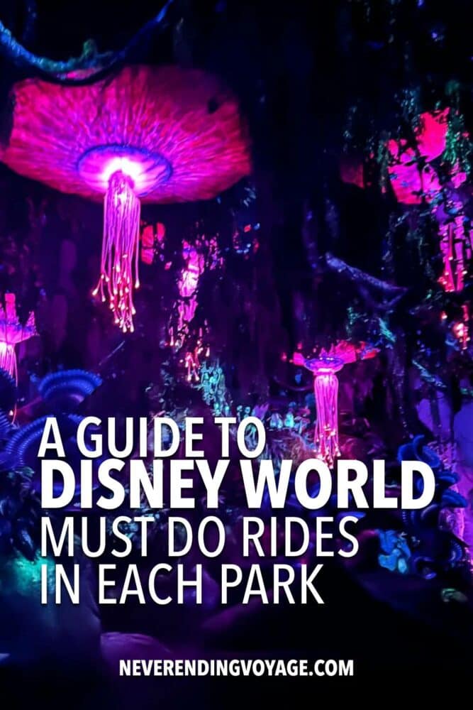Best Rides at Disney World Guide Pinterest pin