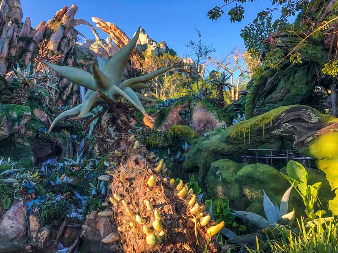 The view in the queue for Avatar Flight of Passage, one of the best things to do at Disney World Florida