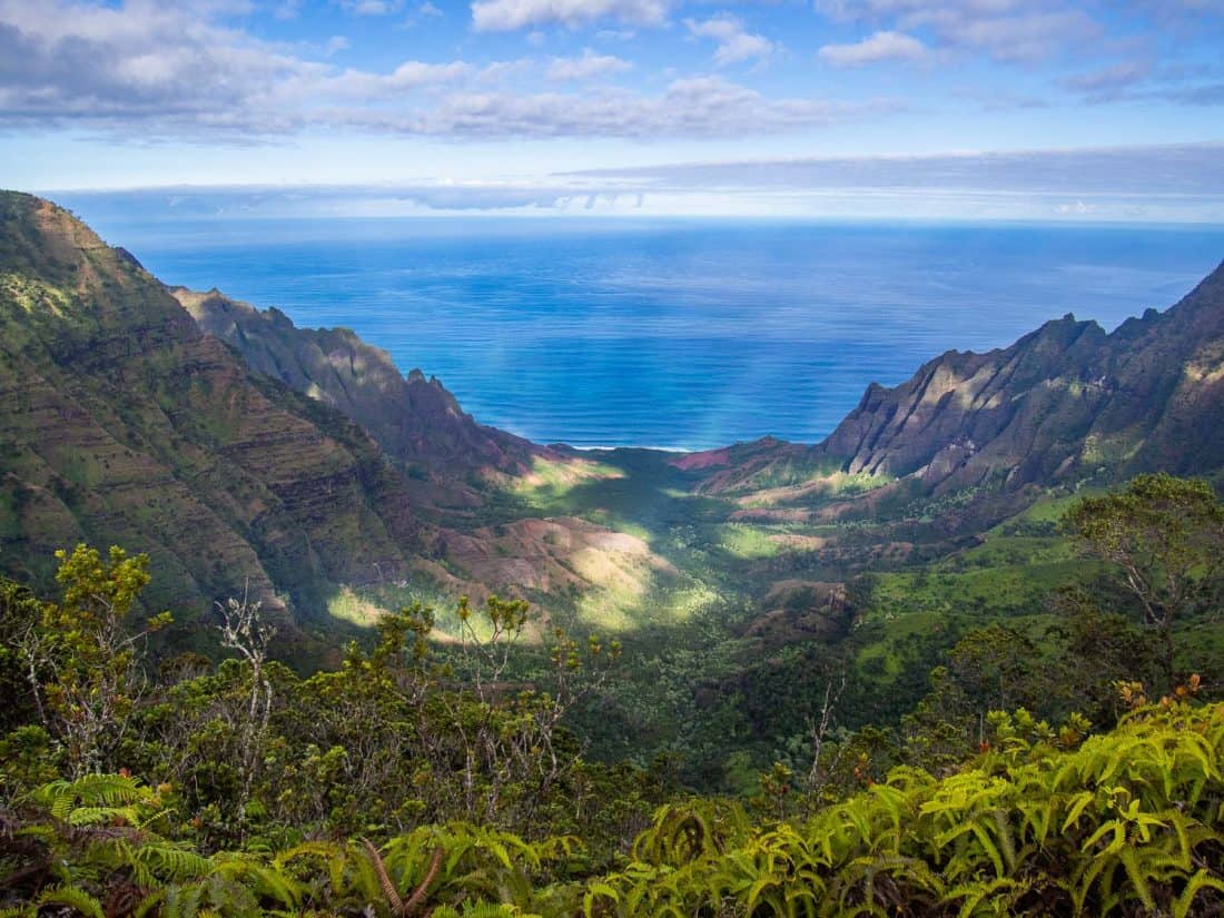 View of Napali from Pihea Trail, one of the best Kauai activities