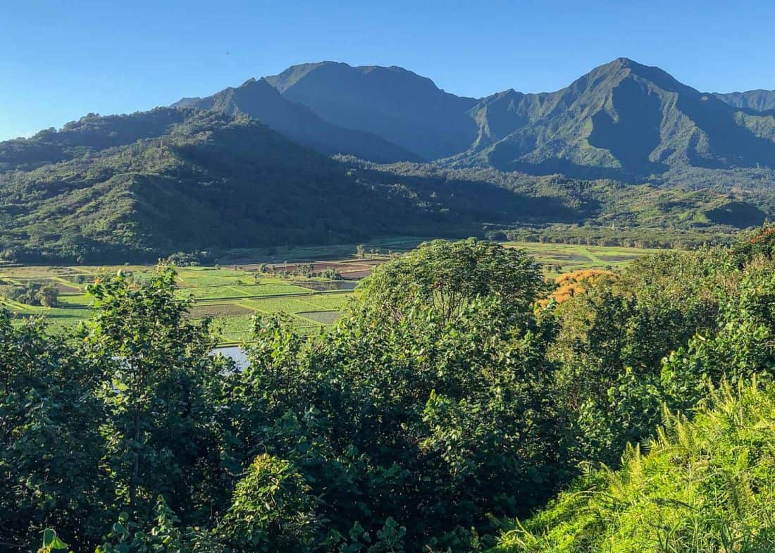 Hanalei Valley Lookout in Kauai