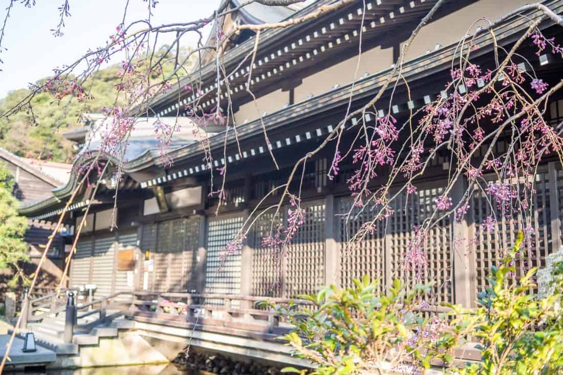 Goshono-Yu hot spring bath in Kinosaki Onsen