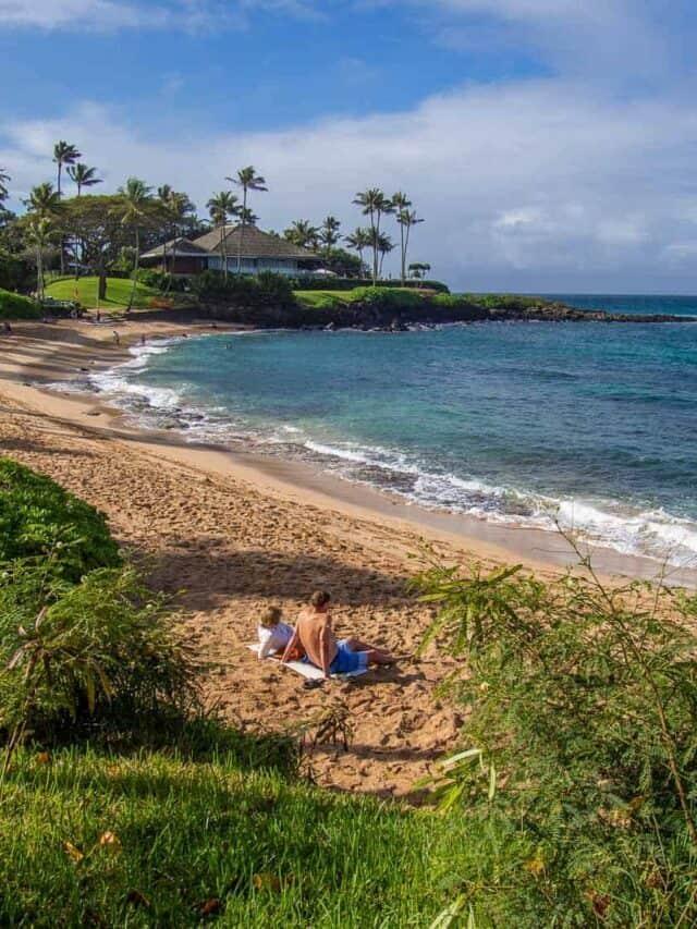 Must Do Maui Activities for an Amazing Trip