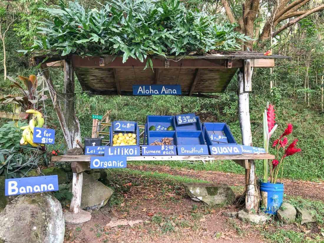 Honesty fruit stand between Hana and Oheo Gulch on Maui, Hawaii, USA