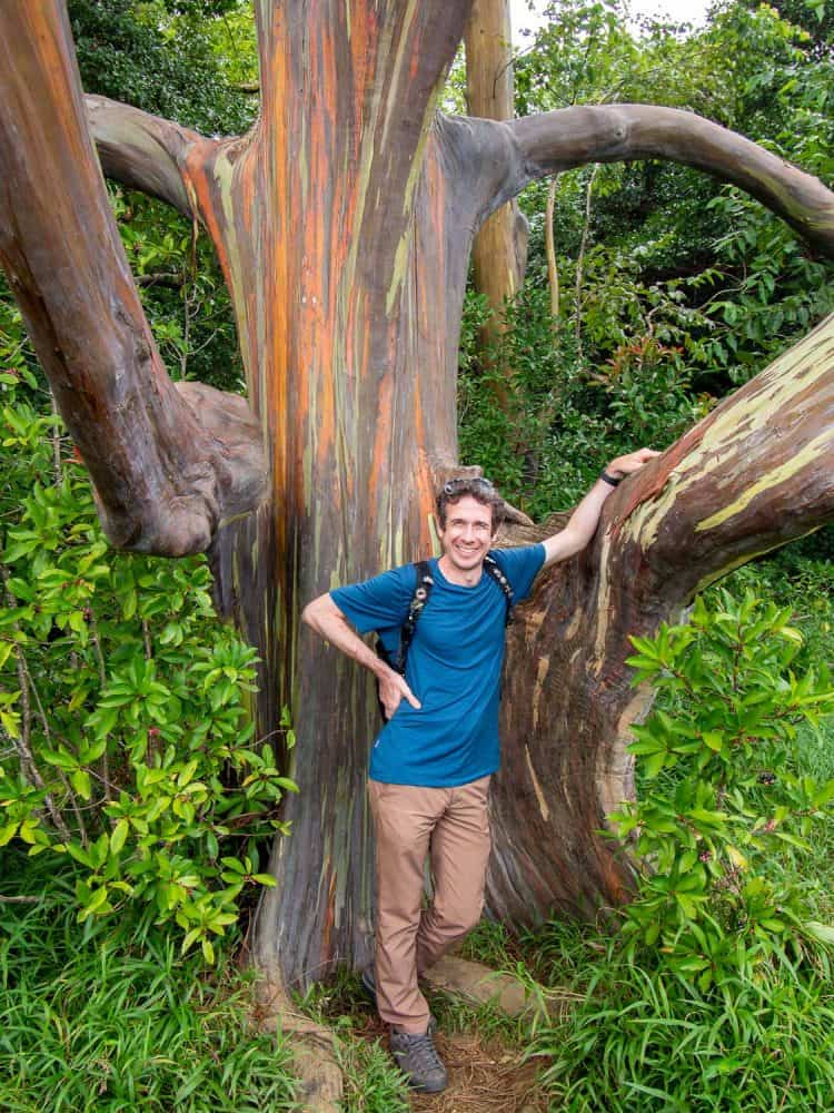 Simon standing by a rainbow eucalyptus tree on the Road to Hana in Maui, Hawaii, USA