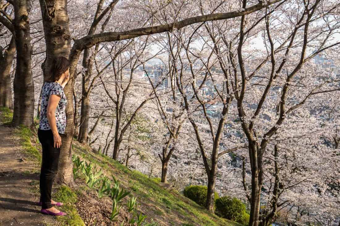 Wearing Rothys comfortable flats in the cherry blossoms of Okayama, Japan