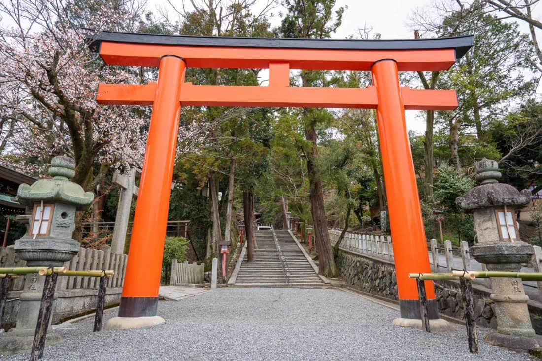 The cherry blossoms at the entrance to Yoshida-jinja Shrine weren't yet in bloom