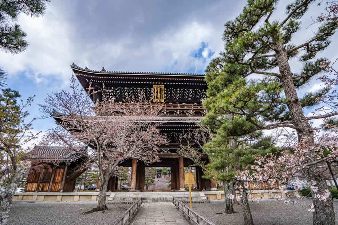 Entrance to Konkai-Komyoji Temple with early cherry blossoms