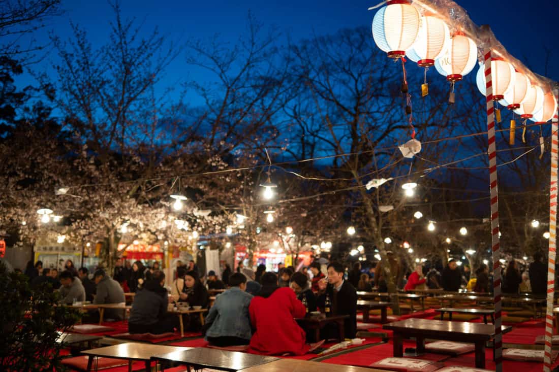 Hanami picnics at night at Maruyama Park in Kyoto