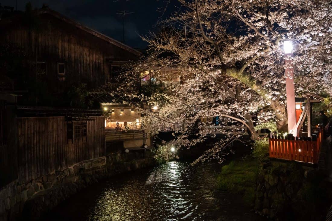 Restaurants at night along the Shirakawa Canal in Gion, Kyoto during sakura season