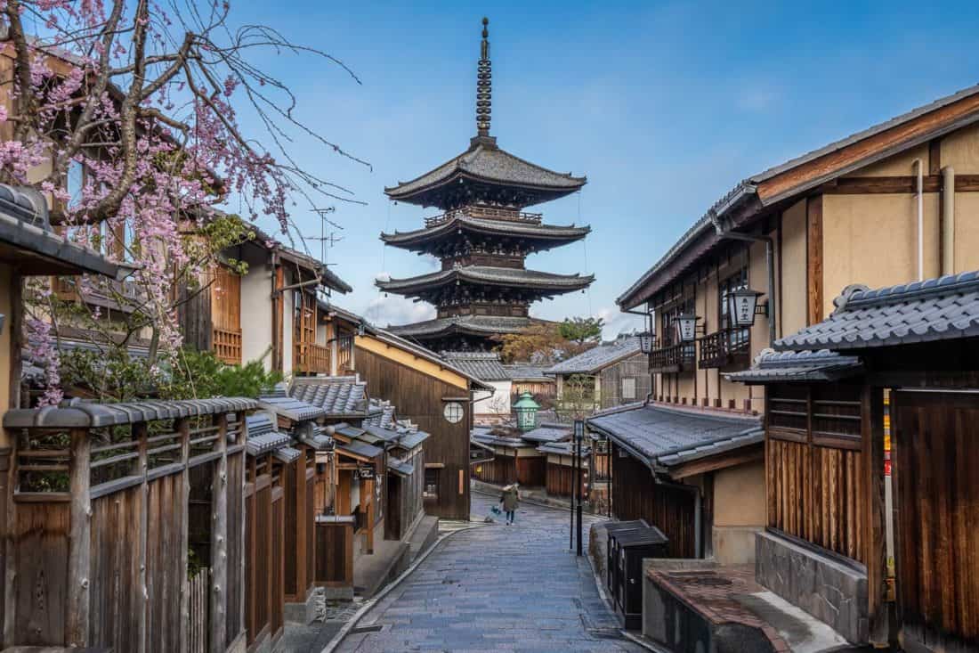 Cherry blossom tree and Yasaka Pagoda in Higashiyama, Kyoto