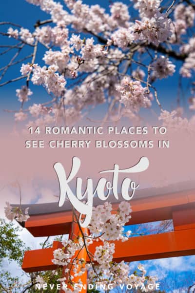 Here are the best places to visit in Kyoto for cherry blossoms!