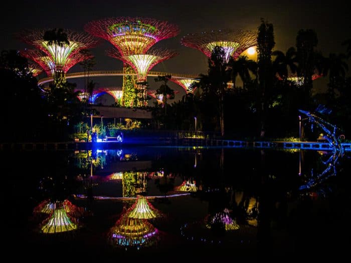 Supertrees at Gardens by the Bay reflected in a pond - one of the highlights of any Singapore itinerary