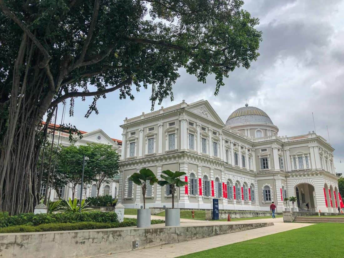 National Museum of Singapore with an Indian rubber tree outside