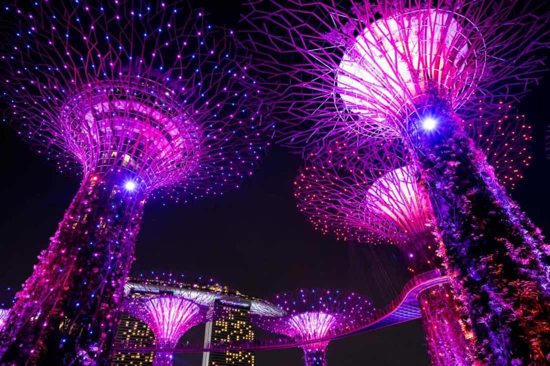 The Supertrees and OCBC Skyway during the light show with Marina Bay Sands in the background, Singapore