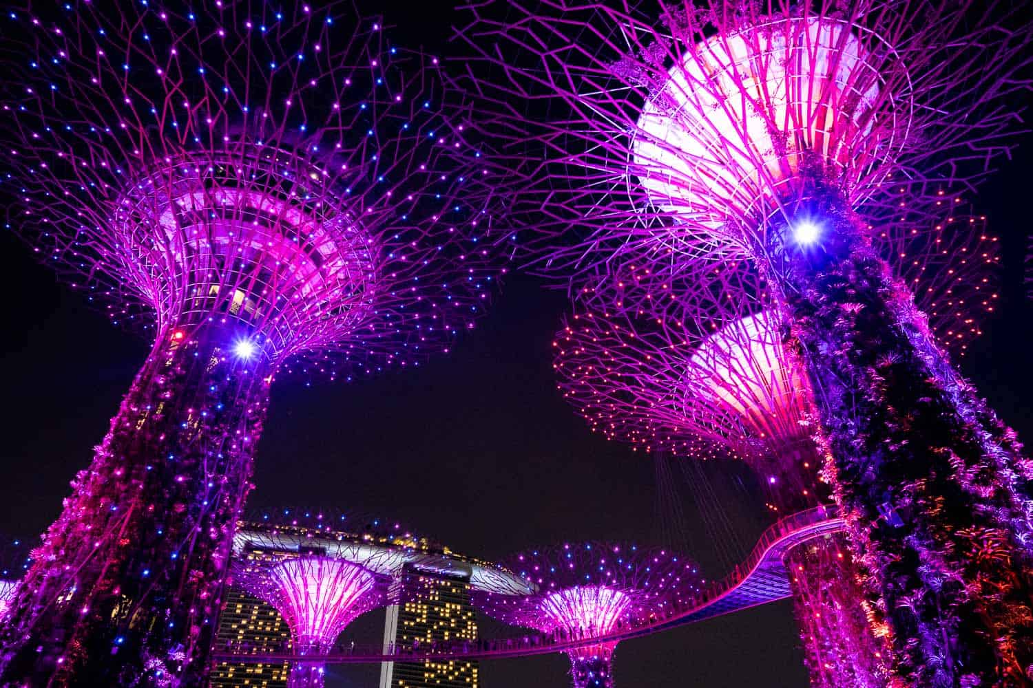 The Supertrees and OCBC Skyway during the light show with Marina Bay Sands in the background