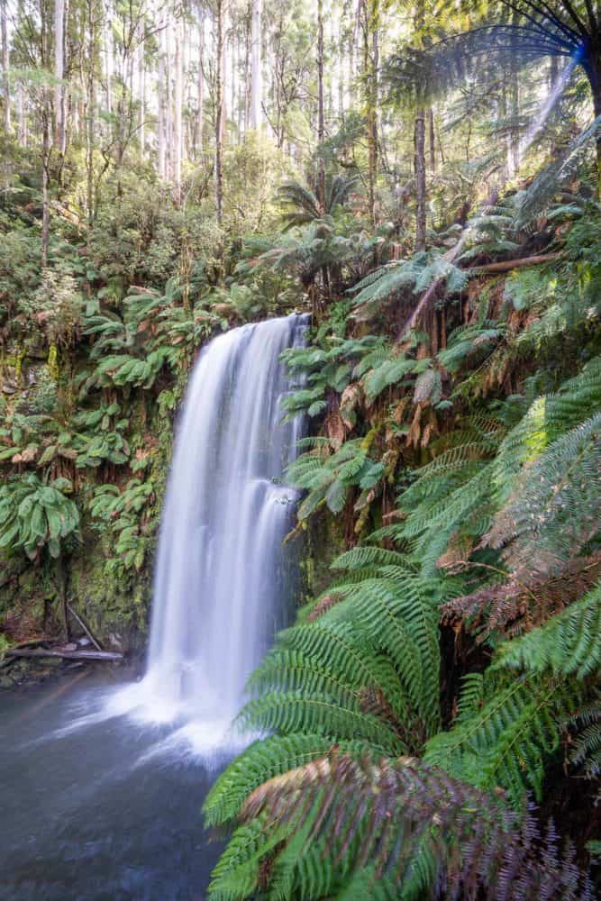 Beauchamp Falls in Great Otway National Park