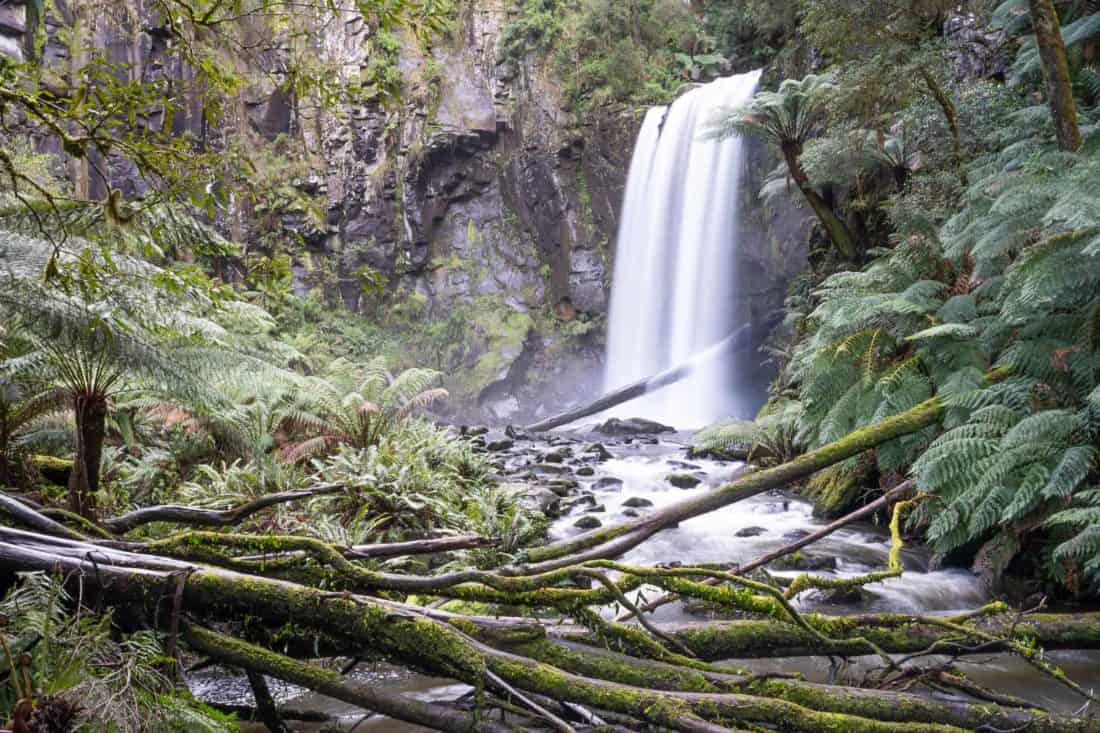 Hopetoun Falls in Great Otway National Park