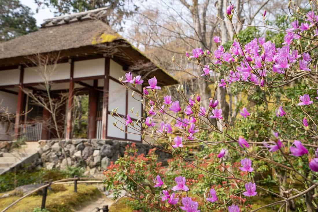 Jojakko-ji, a hidden gem in Arashiyama, Kyoto