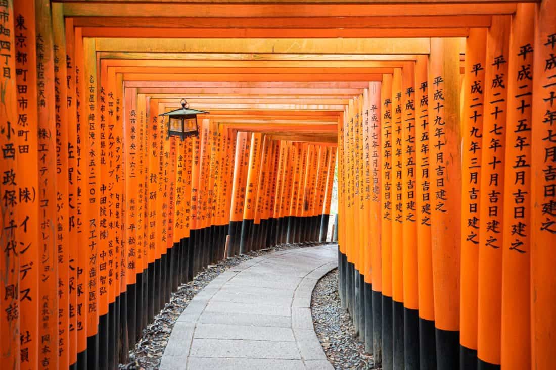 Torii gates at Fushimi Inari shrine, one of the best things to do in Kyoto
