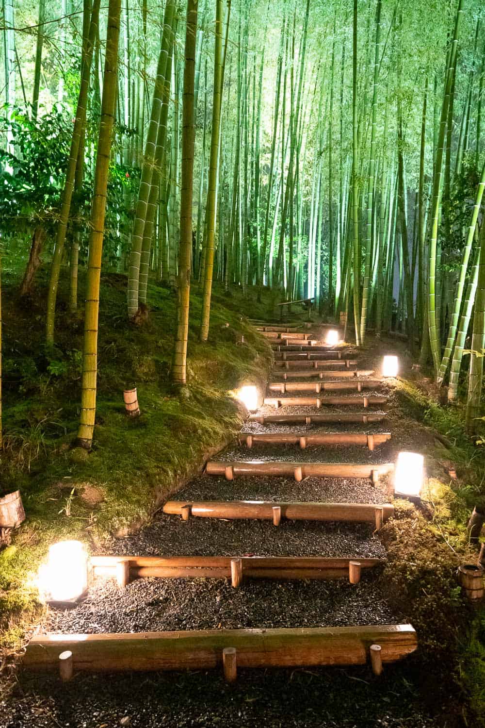 25 Best Kyoto Temples and Shrines to Visit