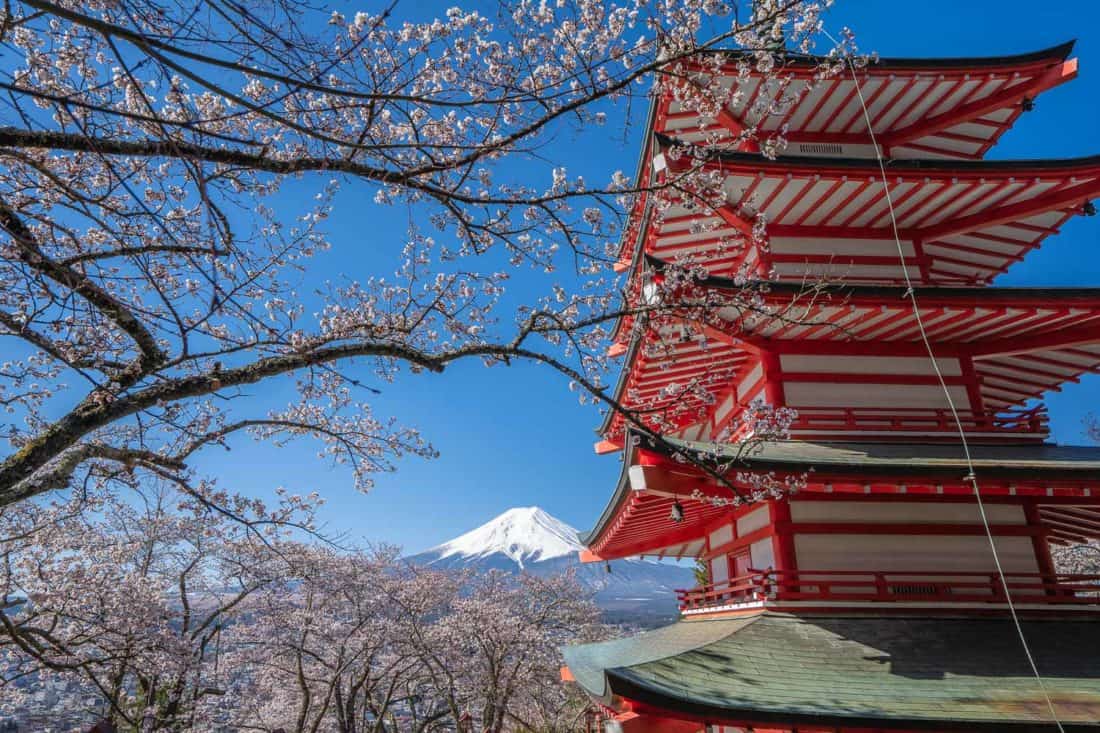 Mount Fuji and cherry blossoms at Chureito Pagoda at Arakurayama Sengen Park near Kawaguchiko, Japan