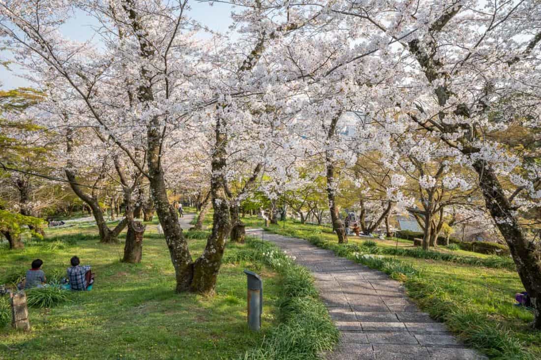 Paved path running through Handayama Botanical Garden, Okayama, Japan