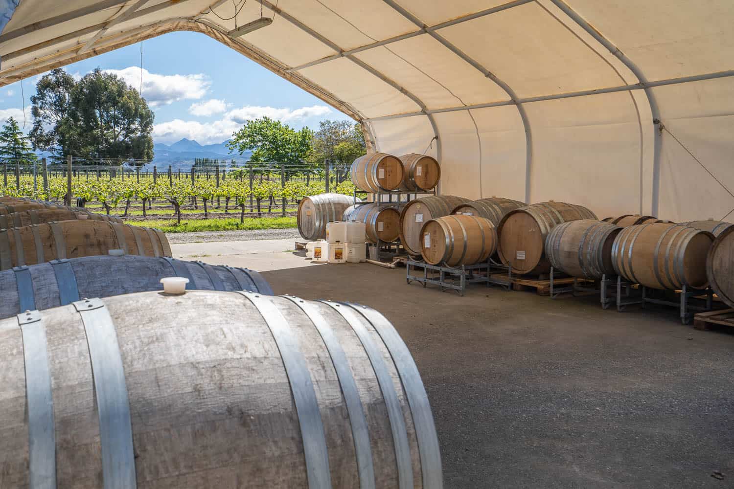 Wine barrels and vineyard at Te Whare Ra winery in Marlborough