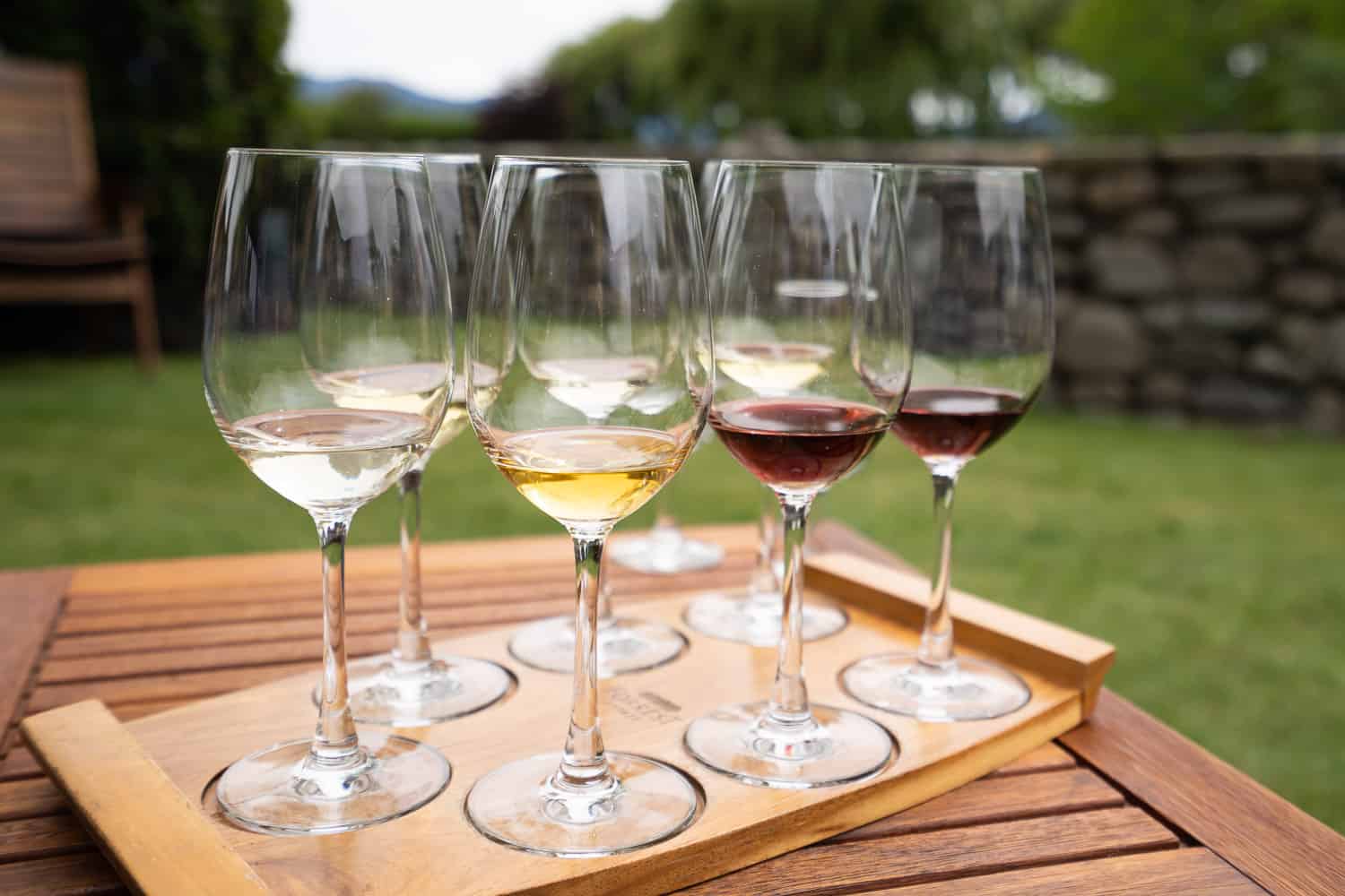 Seven glasses in the wine tasting at Forrest winery on the Marlborough Wine Trail