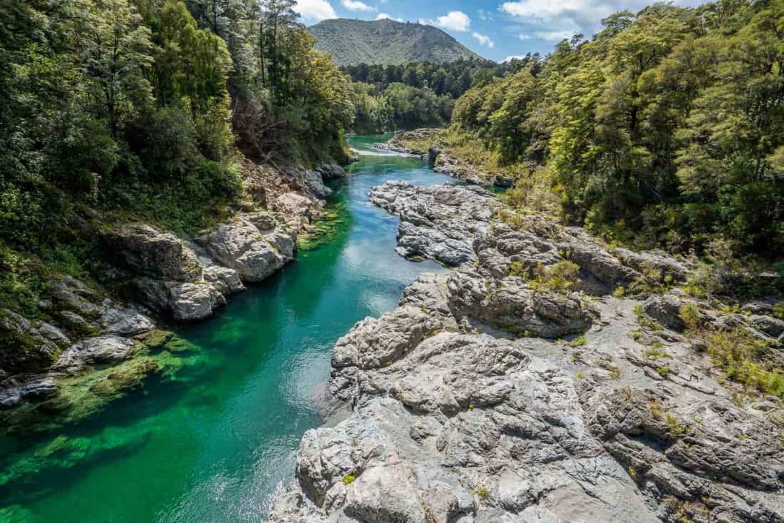 Turquoise river at Pelorus Bridge Scenic Reserve in New Zealand