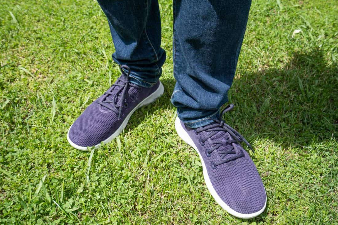 Simon's purple Allbirds Tree Runners