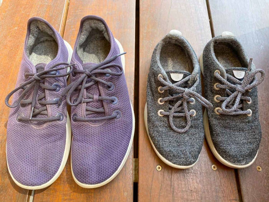 Allbirds Wool vs Tree Runners