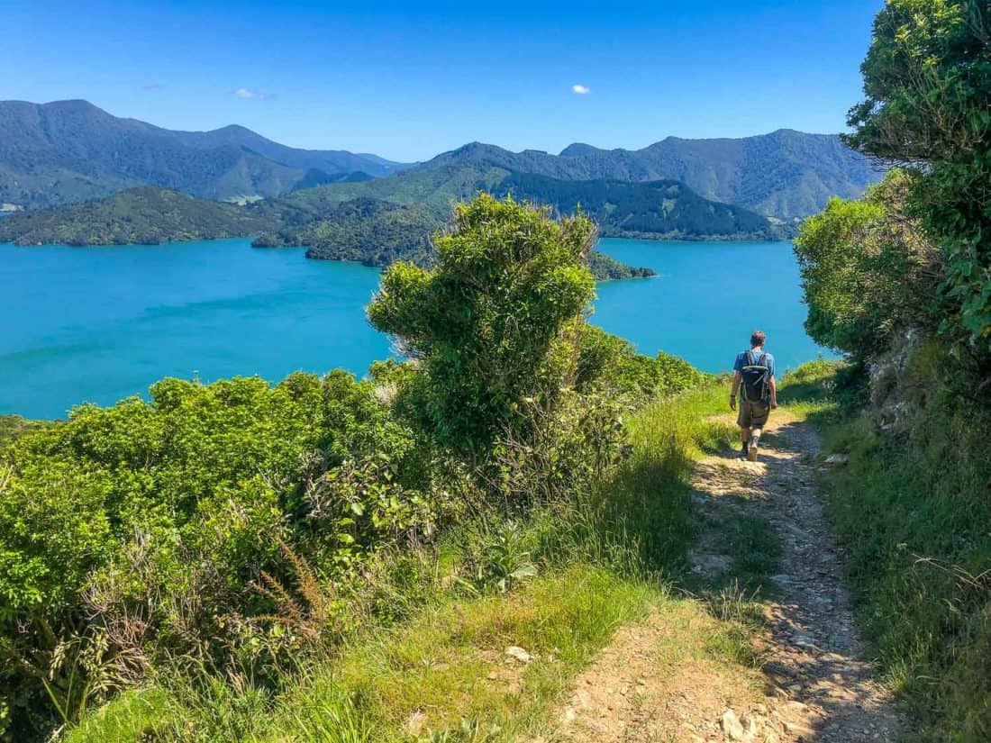Walking the Queen Charlotte Track in the Marlborough Sounds, New Zealand
